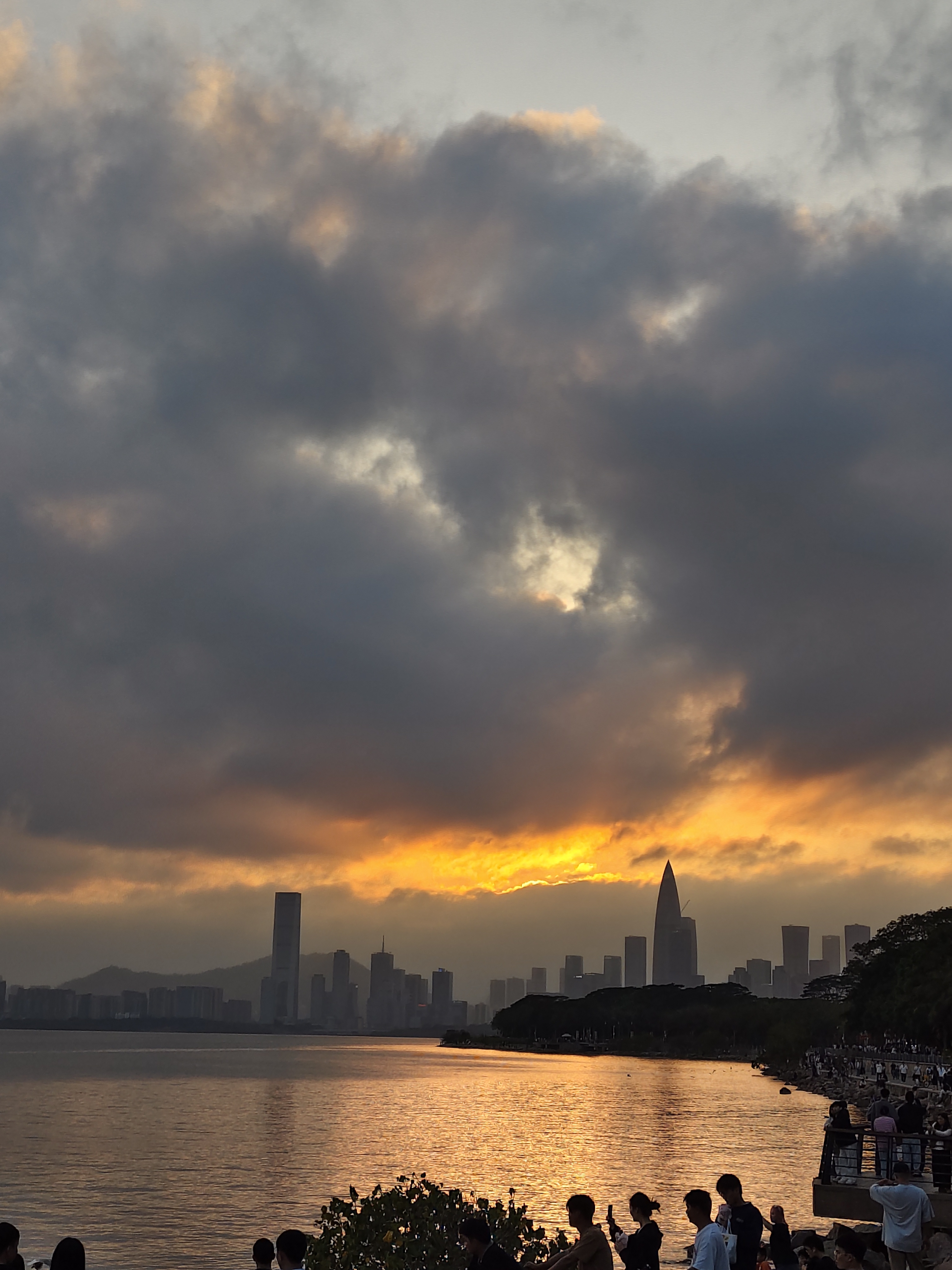 2026年3月1日 深圳湾公园