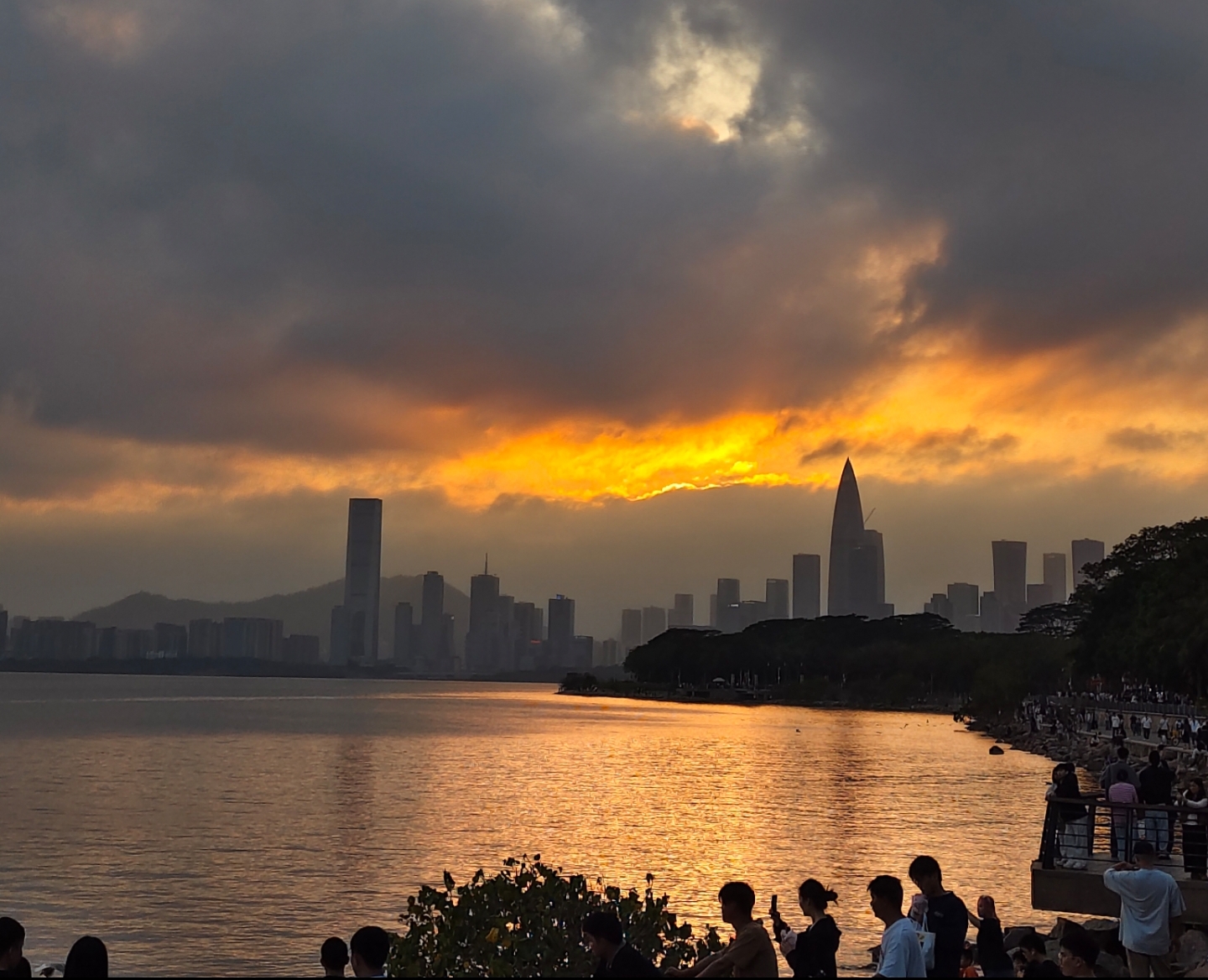 2026年3月1日 深圳湾公园