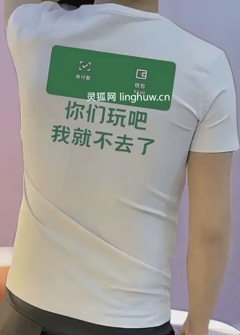 你们玩吧，我就不去了