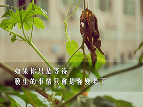 毕业致母校的感谢信范文一份