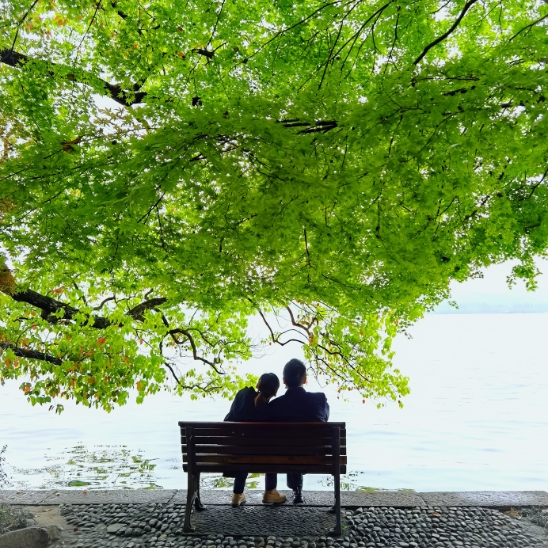  原来失望，可以写的这么疼 